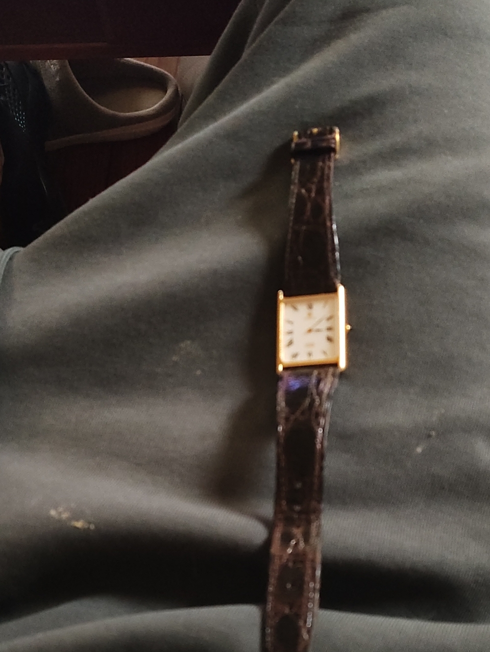 Citizen Gold-Tone Square Watch with Dark Brown Leather Strap